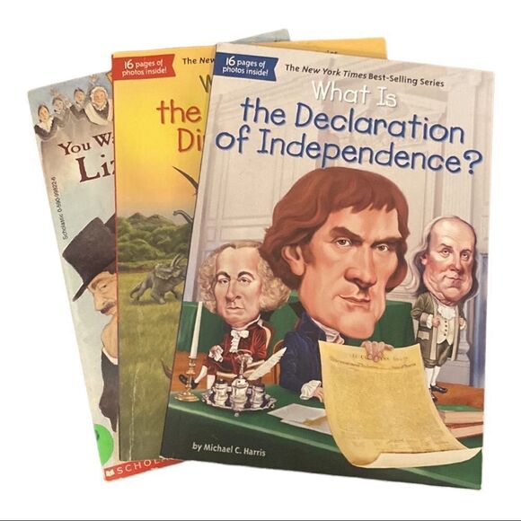 History Chapter books excellent condition 💕💕 - Picture 1 of 11